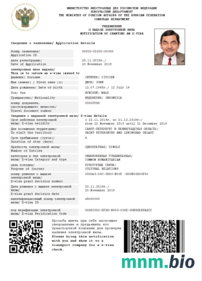 Szablon e-visa do Rosji